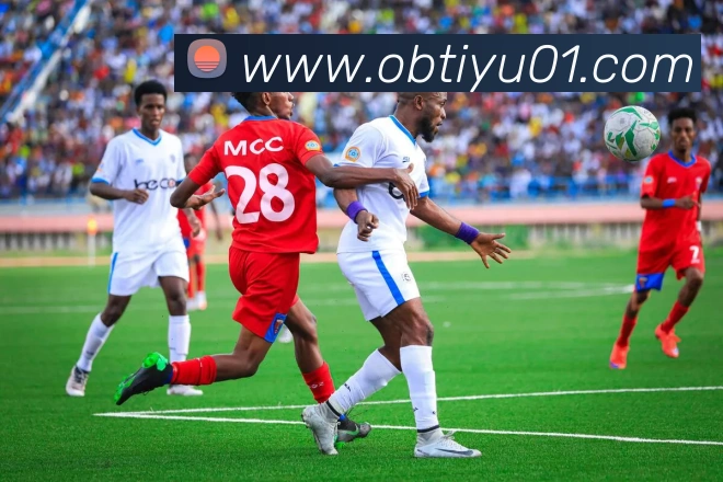 ob体育平台生态图